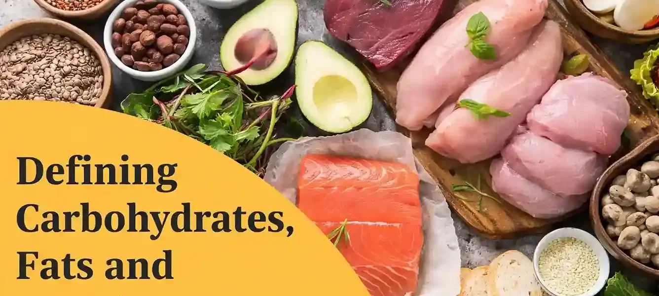 why-macronutrients-matter