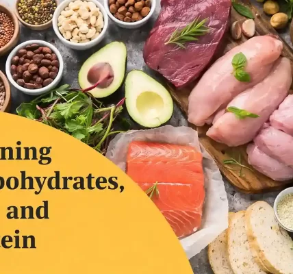 why-macronutrients-matter