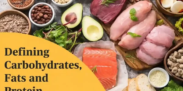 why-macronutrients-matter
