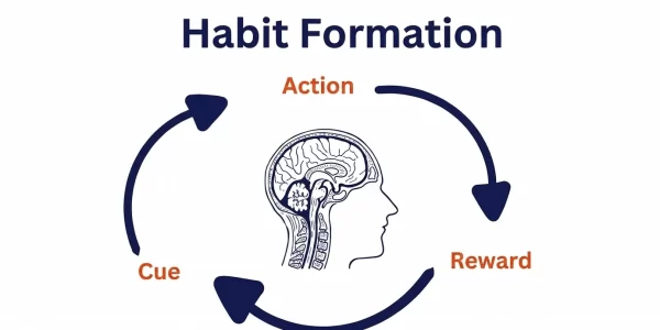 what-is-a-habit