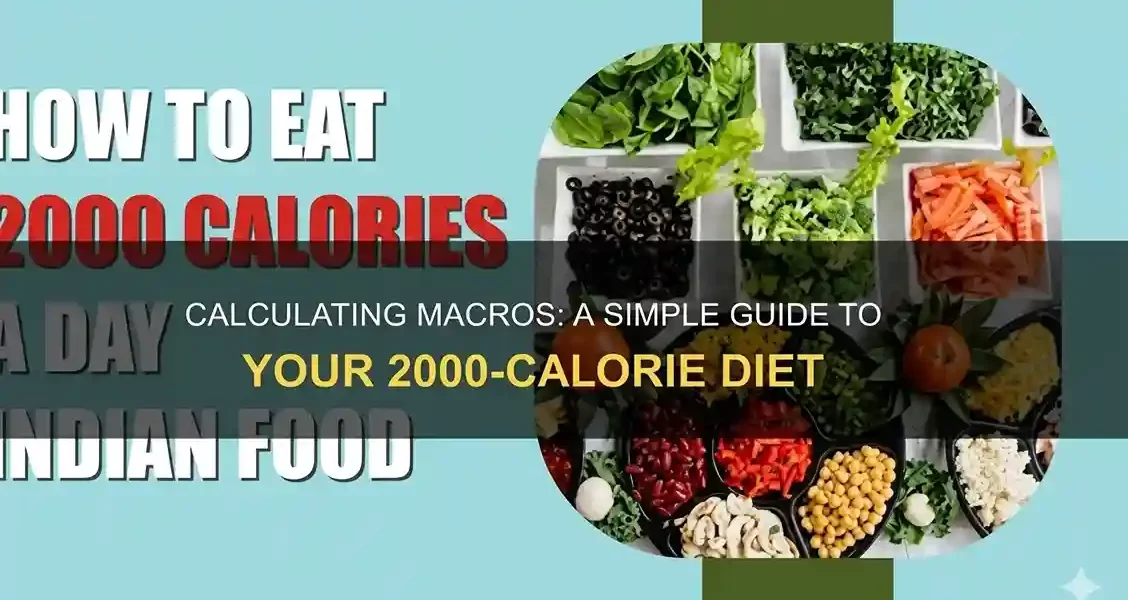 macros-made-simple-the-beginners-blueprint