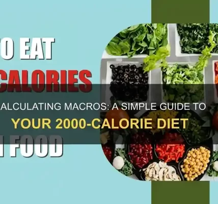 macros-made-simple-the-beginners-blueprint