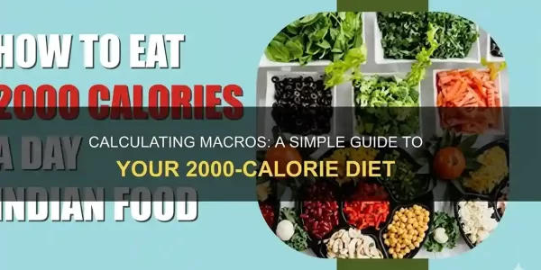 macros-made-simple-the-beginners-blueprint